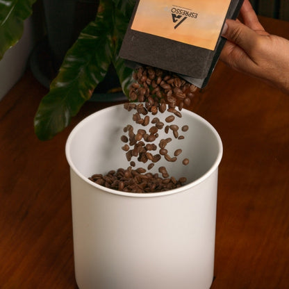 Airscape Coffee Canister