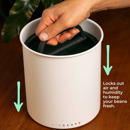 Airscape Coffee Canister